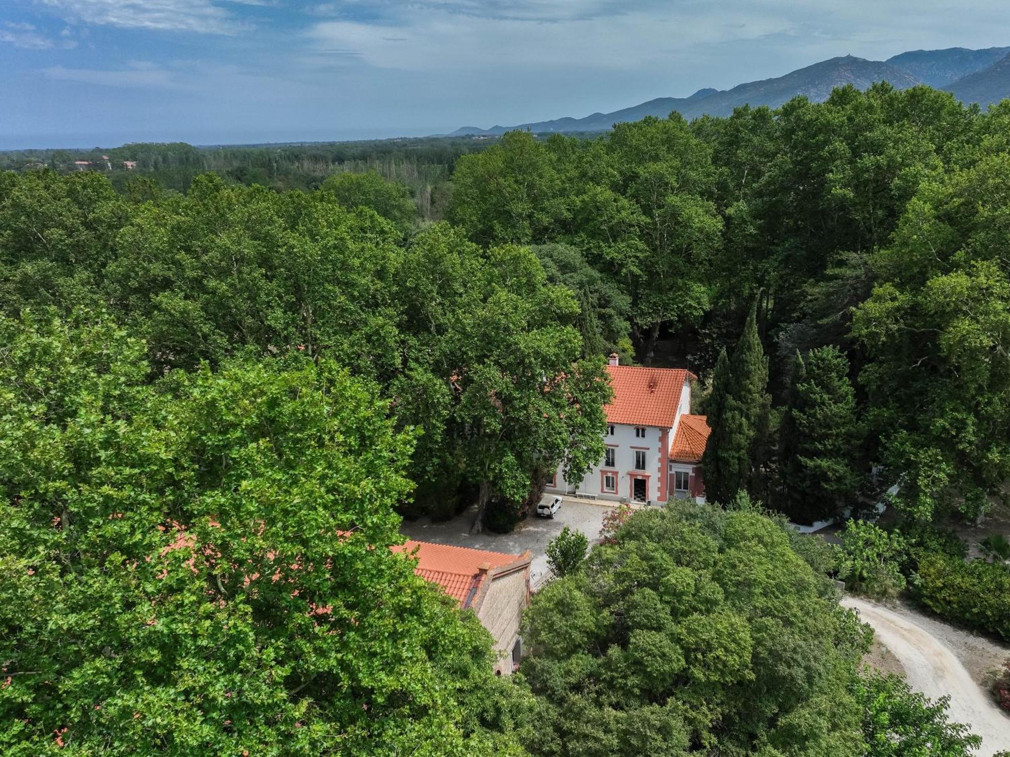 Gites Du Castell De Bles Saint-Génis Eksteriør bilde
